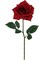 20-Inch Premium Open Rose Stems - Set of 24 with Lifelike Silk Leaves, Realistic Artificial Roses for Bouquets, Floral Arrangements, Wedding & Event Decor, Home & Office Accents, Floral Home by Artificial Flowers